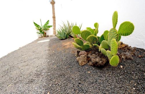 Los Cocoteros Casa | Casa Kalendra Rofe Tu refugio cerca del mar
