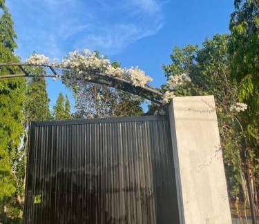 Chau Duc Casa | Casa Khang - a peaceful cottage close to HCMC