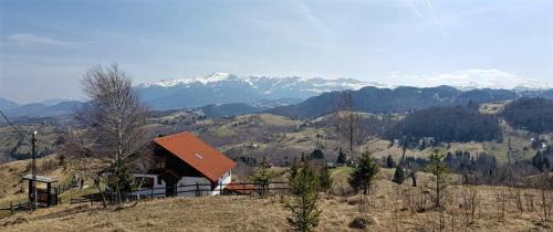 Sirnea Villa | Casa Konigstein