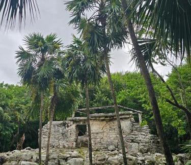 Área de Playacar Fase I Apartamento | Casa KURI