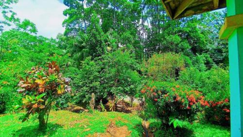 Chachagua Casa | Casa La Esperanza