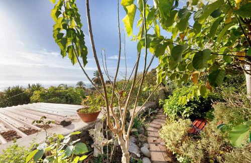 Villa de Mazo Apartamento | Casa La Panacea