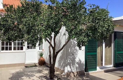 Seixal Casa | Casa Lagoa south of Lisbon - 20 minutes from Lisbon and beaches. Swimming pool and Wifi