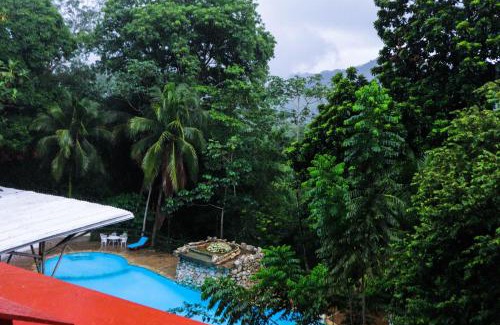 Palenque Hotel | Casa Lakyum