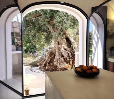 Cozzana Casa | Casa Lama