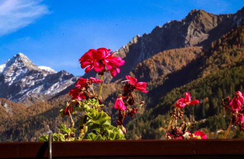 Chiesa in Valmalenco Casa | Casa Lana