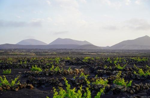 Tinajo Casa | Casa Las Huertas