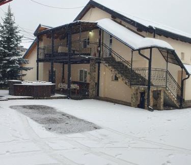 Borsa Casa | CASA LAURENTIU