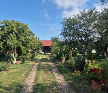 Tirgu Ocna Casa | Casa Livada Bunicii