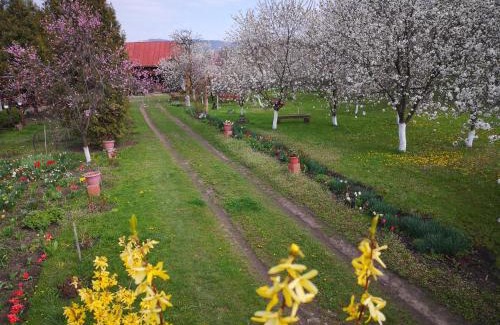 Tirgu Ocna Casa | Casa Livada Bunicii