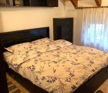 Viseu de Jos Casa | Casa Livada cu Meri