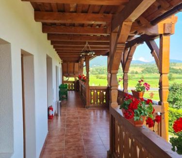 Vadu Izei Casa | Casa Loredana