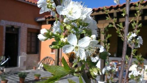 Santibanez de Valcorba Casa | Casa Los Aperos