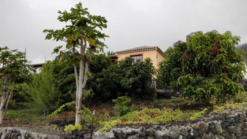 Los Quemados Casa | Casa Los Quemados
