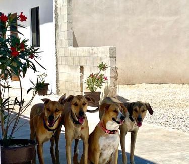 Chelem Apartamento | Casa Loto B