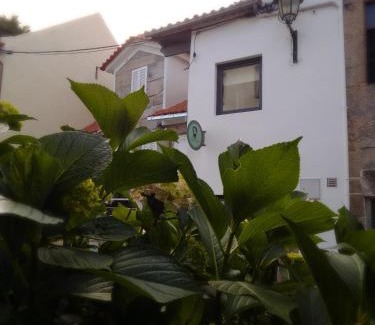 Santar Casa | Casa Luís de Camões - Boutique & Literary House