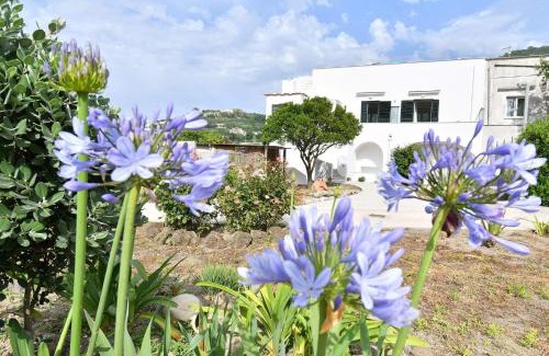 Barano d'Ischia Apartamento | Casa Lucia
