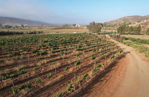 Valle de Guadalupe Casa | Casa Luna Viñedo
