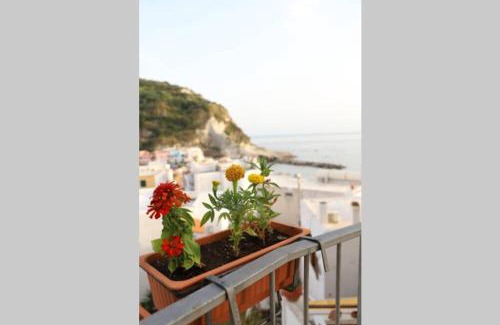 Sant'Angelo Apartamento | Casa Maadry