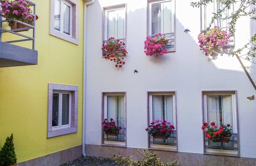 Lumiar Apartamento | Casa Madre Brigida - House in private courtyard