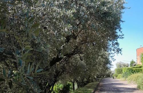 Santa Lucia ai Monti Apartamento | Casa Magnolia