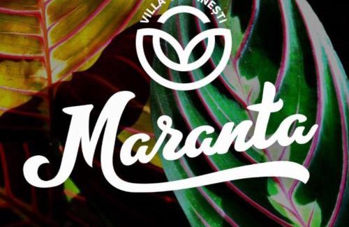 Costinesti Casa | Casa Maranta