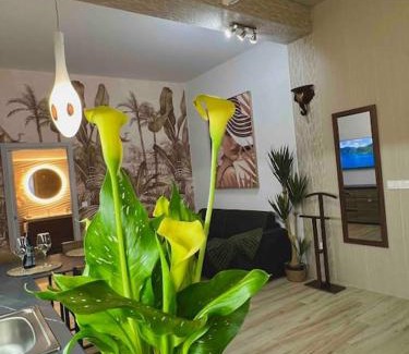 Aiora Apartamento | Casa Maravillosa