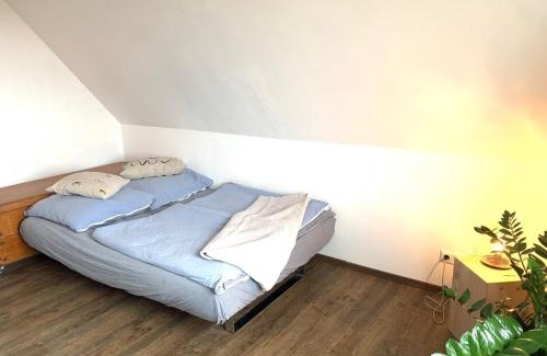 Landkirchen Apartamento | Casa Marcu Wohnung 1 OG