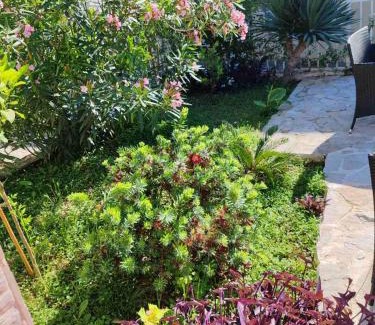 Denovici Apartamento | Casa Mare 1