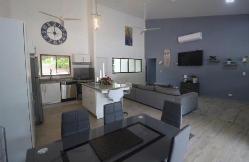 Tamarindo Apartamento | Casa Mari Black Stallion