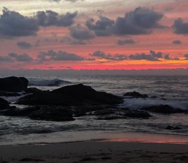 Tamarindo Apartamento | Casa Mari Black Stallion