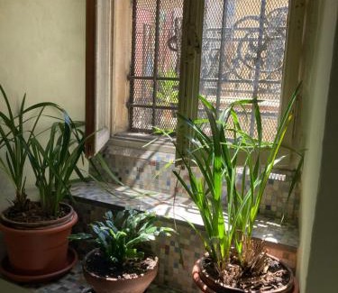 Intra Apartamento | Casa Maria