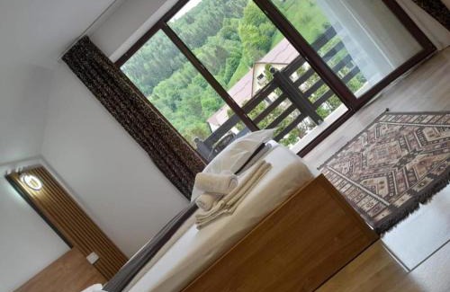 Moeciu de Sus Casa | Casa Maria Moieciu C
