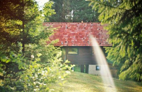 Calatele Casa | Casa Maria
