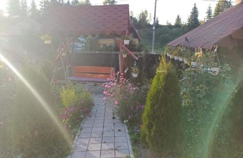 Toplita Casa | Casa Maria