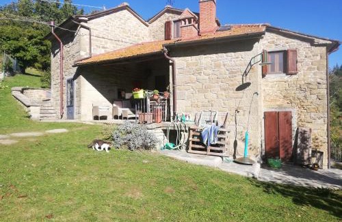 Porciano Chalet De Esquí | Casa Martino