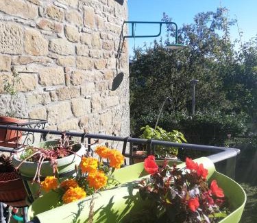 Porciano Chalet De Esquí | Casa Martino
