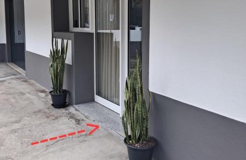 Sao Vicente Casa | Casa Martins