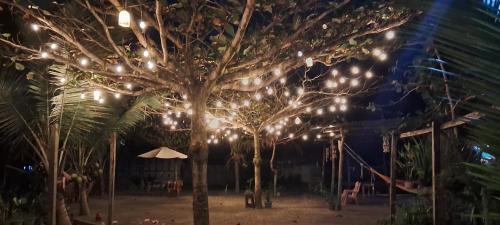 Puerto Barrios Casa | Casa Maya