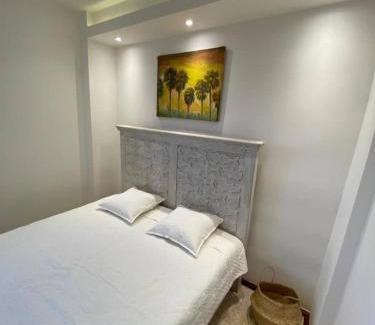Zona Colonial Apartamento | Casa Meriño - Leo's Penthouse #5