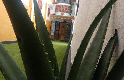 Barrio Villa de Guadalupe Casa | Casa Mexicana Patio