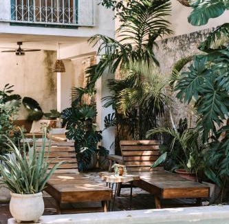 Centro Cama Y Desayuno | Casa Mezcla - Bed & Breakfast