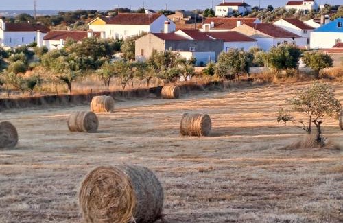 Montes Juntos Casa | Casa Mira