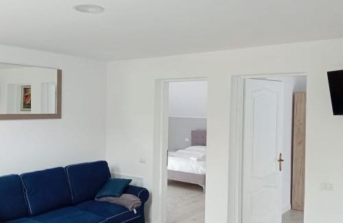 Cavnic Casa | Casa Mont Blanc Cavnic apartament 2