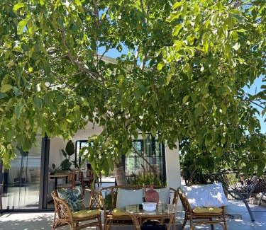 Zeytinli Apartamento | Casa Mora