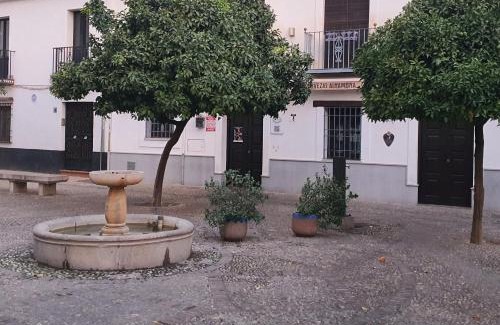 Beiro Apartamento | CASA MORENA MiA APARTAMENTOS