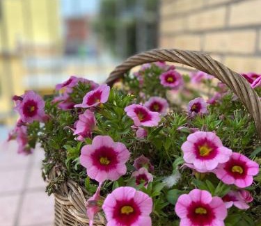 Scafati Apartamento | Casa Myrina