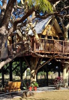 Santa Clara d'Oeste Cabina | Casa na arvore Dream tree house