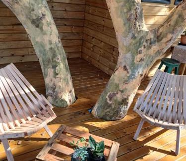 Santa Clara d'Oeste Cabina | Casa na arvore Dream tree house