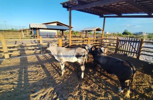 Itaporanga d'Ajuda Casa | Casa na Fazenda